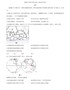 甘肃省武威市2020年初中毕业、高中招生考试地理试题